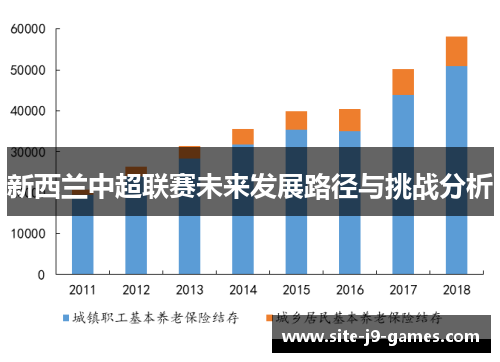 新西兰中超联赛未来发展路径与挑战分析