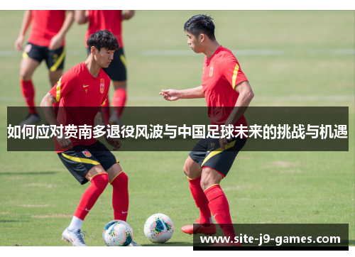 如何应对费南多退役风波与中国足球未来的挑战与机遇 如何应对费南多退役风波与中国足球未来的挑战与机遇