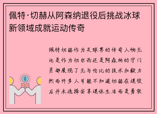 佩特·切赫从阿森纳退役后挑战冰球新领域成就运动传奇